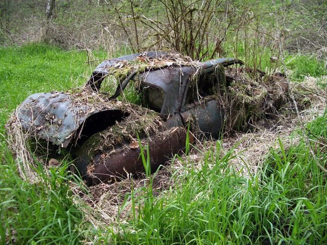 An overgrown car that has been dumped